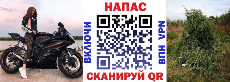 Магазины продажи наркотиков Шиханы АМФЕТАМИН Канабис Кетамин ГАШ Псилоцибиновые грибы Кокаин Мефедрон Alpha PVP