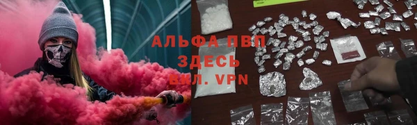 дмт Алзамай