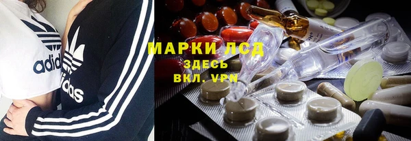 дмт Алзамай